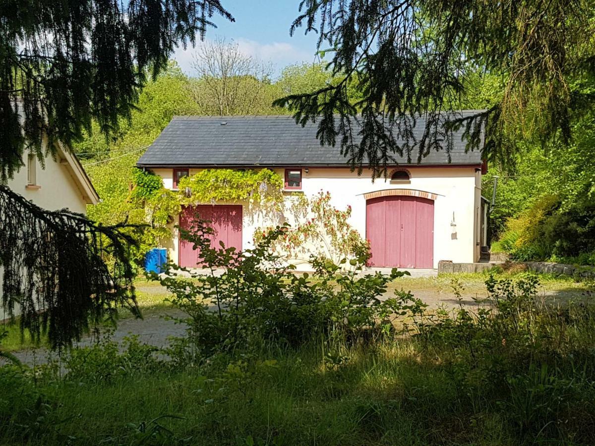 Seren Loft - Cynghordy, Holiday home *