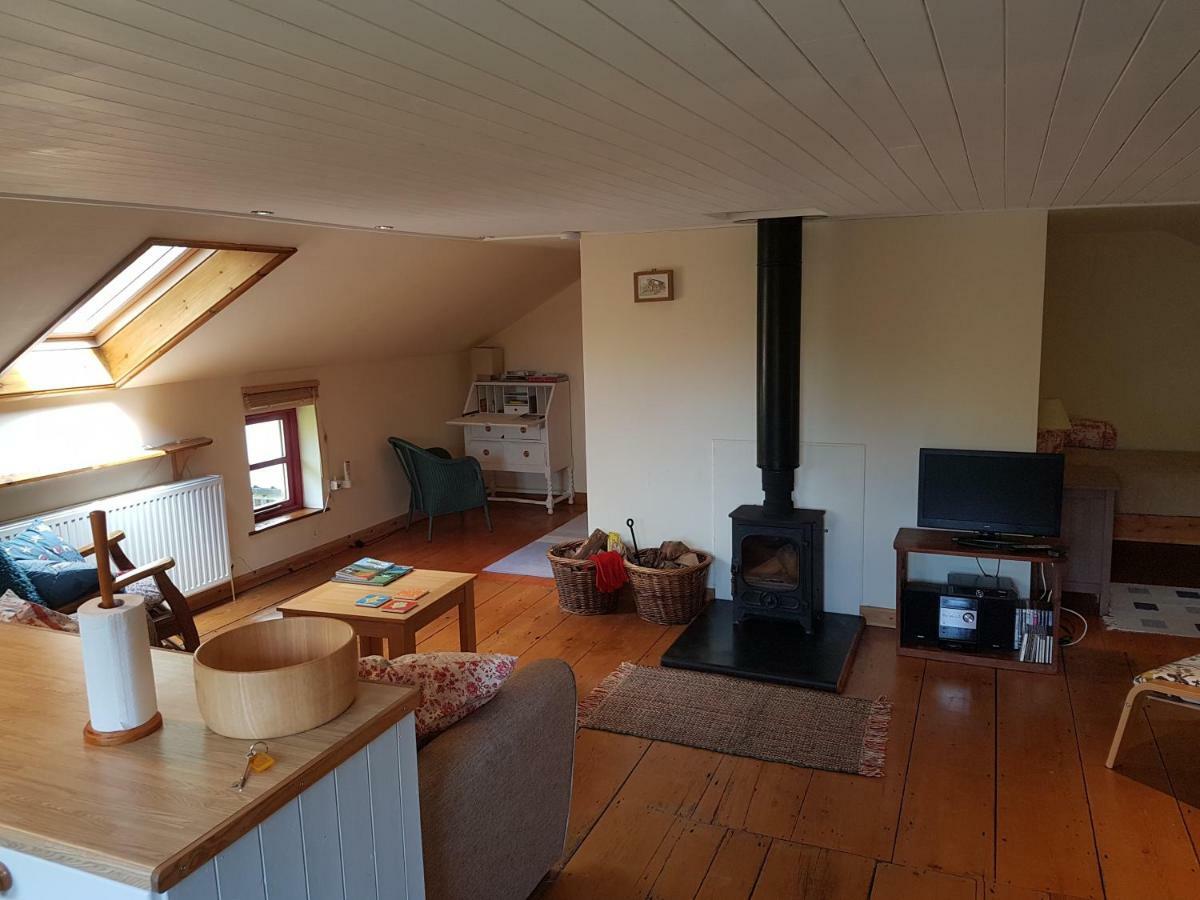 Holiday home Seren Loft - Cynghordy, *