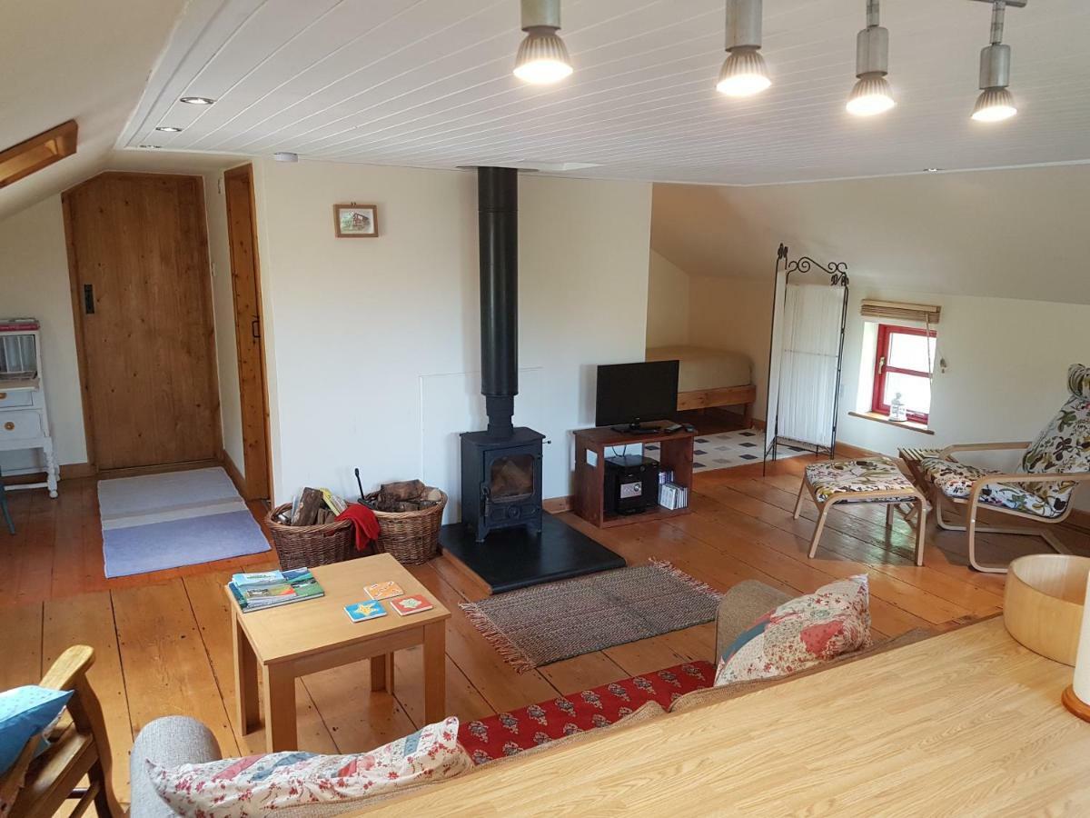 Seren Loft - Cynghordy, Holiday home *
