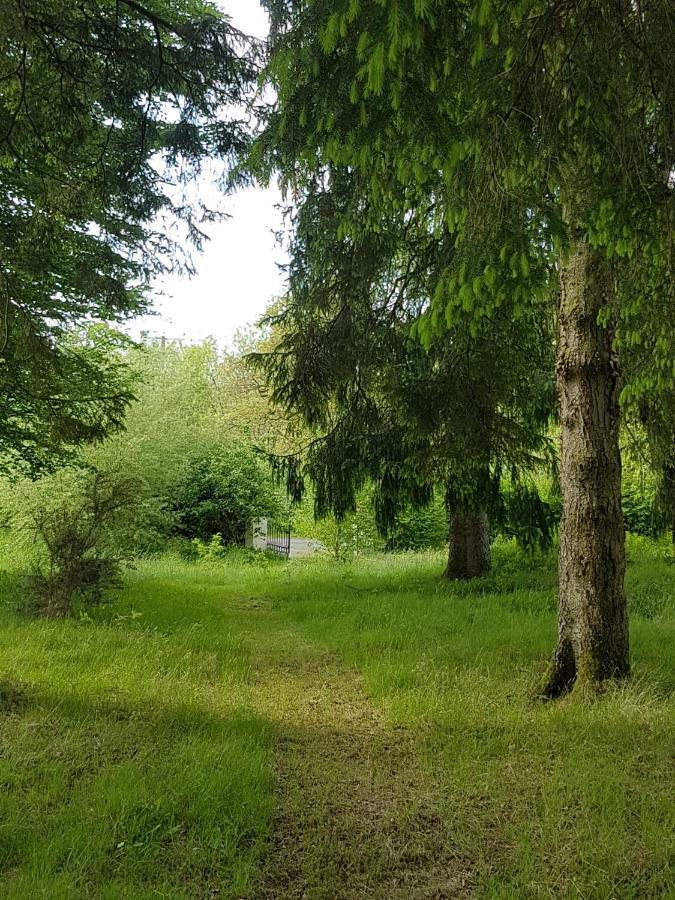 Seren Loft - Cynghordy, Holiday home *